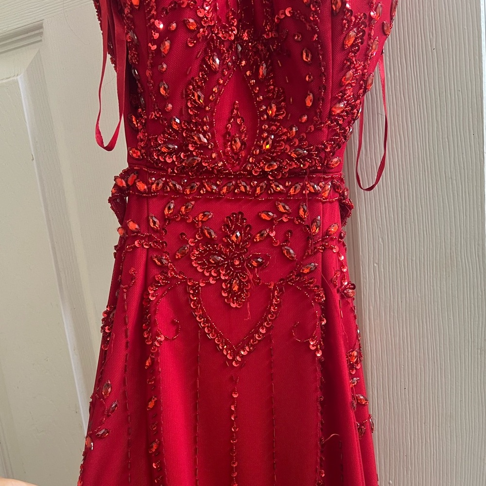 Red Rhinestone Gown - Picture 3 of 8
